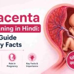 Placenta Meaning in Hindi