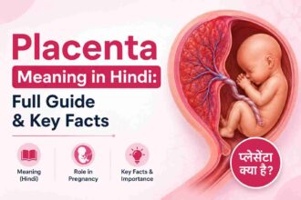 Placenta Meaning in Hindi
